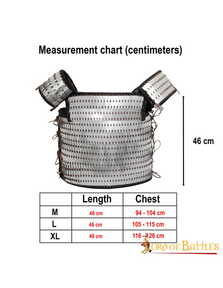 Armadura de escala viking com ripas e...