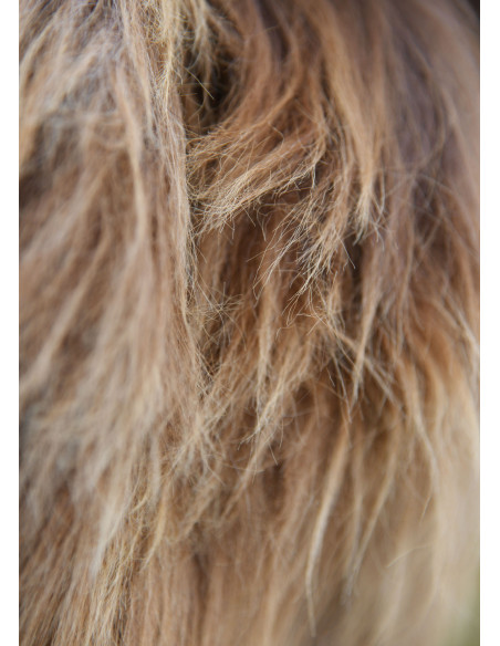 Pele de carneiro manchada nórdica...