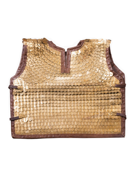 Roman Lorica Squamata (100-250 DC)