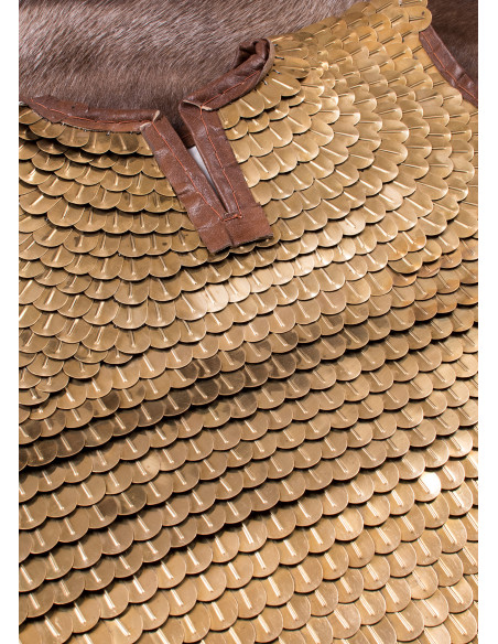 Roman Lorica Squamata (100-250 DC)