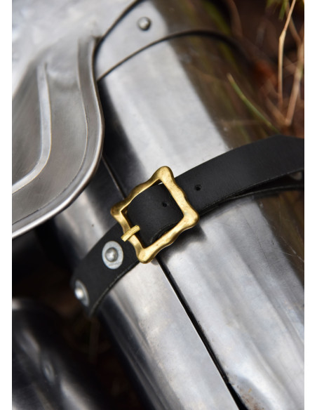 Braço de armadura medieval e...