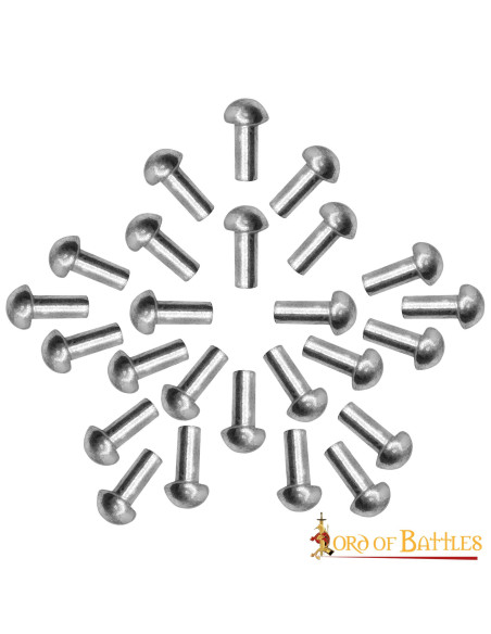 Jogo de 25 rebites prateados com...