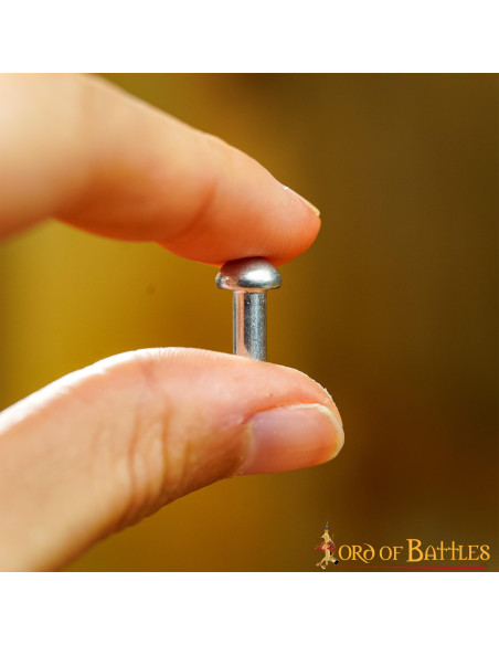 Jogo de 25 rebites prateados com...