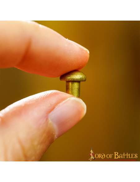 Conjunto de 25 rebites de latão com...