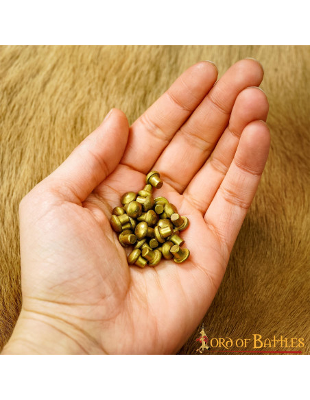 Conjunto de 25 rebites de latão com...