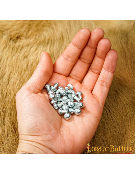 Jogo de 25 rebites prateados com...