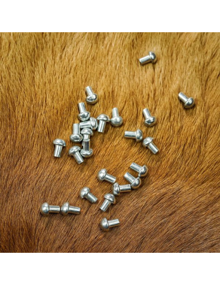 Jogo de 25 rebites prateados com...