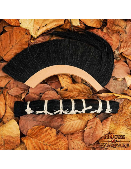 Tufo de substituição de cabelo...