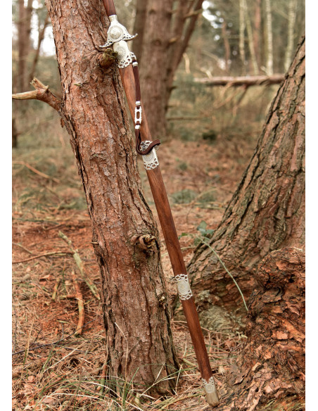 Shaolin Hunyuan Espada de Hanwei...