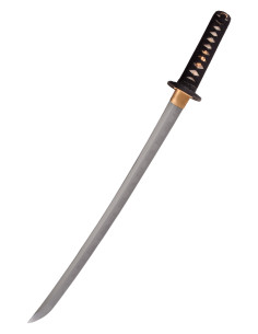 Cão-leão Wakizashi de Hanwei (69,5 cm.) 2