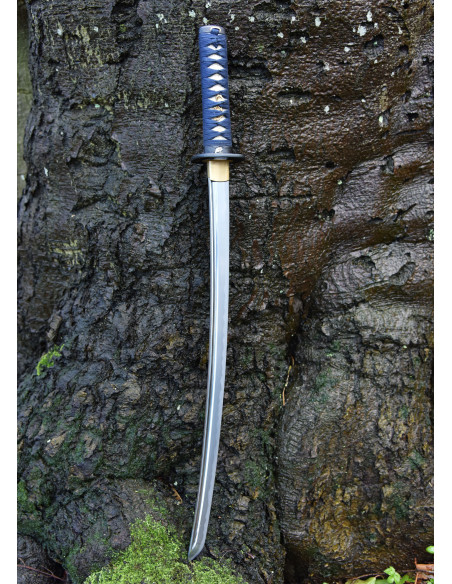 Sapo Wakizashi Kaeru de Hanwei (70,5...