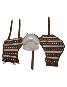 Par de armas históricas medievais com placas (séculos... 2