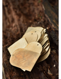 Conjunto de 25 placas de latão para armadura lamelar (7,5... 2