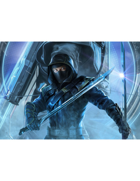 Banner-Bandeira Ronin De Hawkeye,...