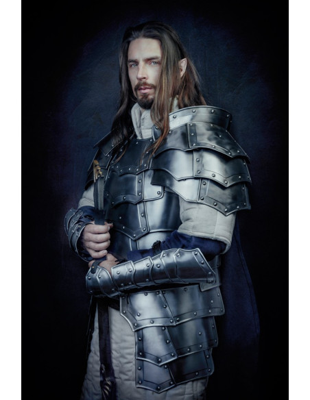 Peitoral e contraplaca góticos,...