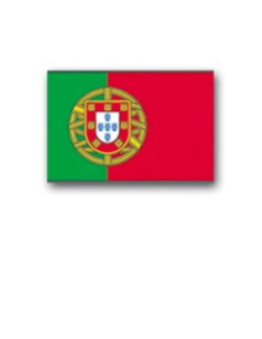 Bandeira de Portugal (150x90 cms.)