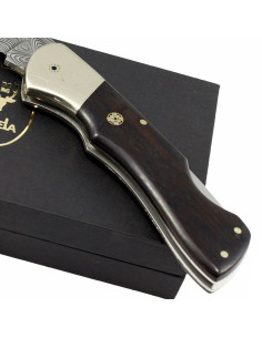 Faca de bloqueio com lâmina de aço damasco 2