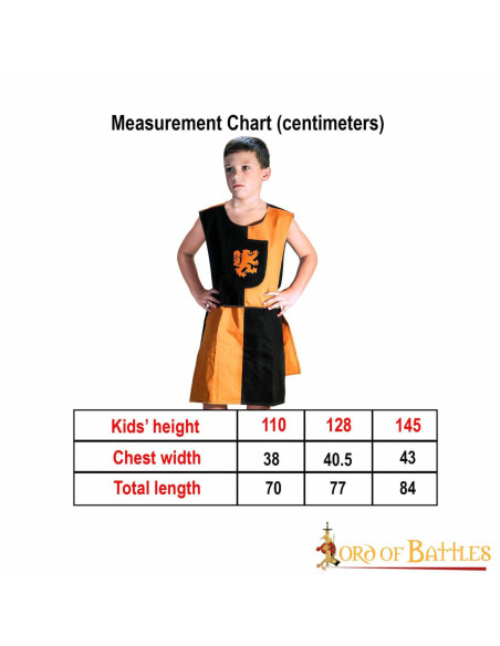 Tabardo infantil com escudo Lion...