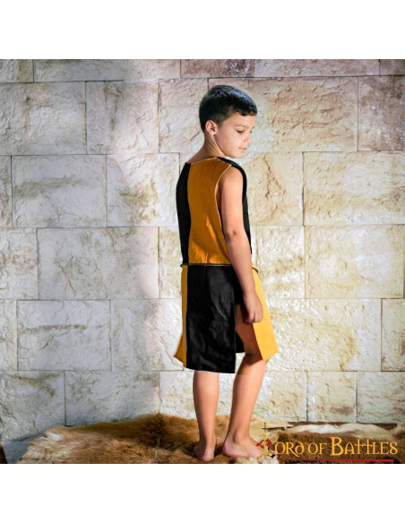 Tabardo infantil com escudo Lion...