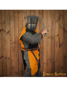 Tabardo masculino com escudo Lion Rampant, amarelo-preto 2