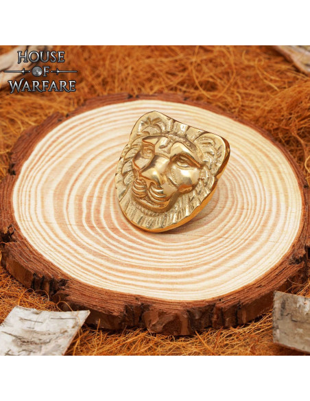 Decoração de cabeça de leão de latão