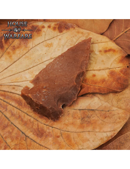 Ponta de flecha de silos neolíticos...