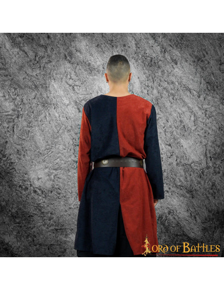 Escudo heráldico de duas cores...