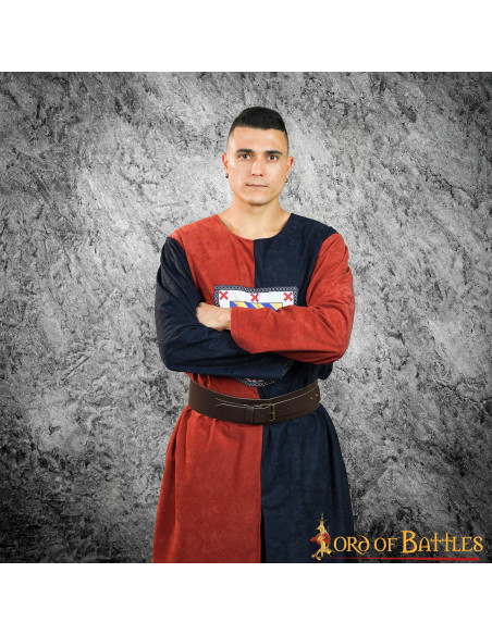 Escudo heráldico de duas cores...