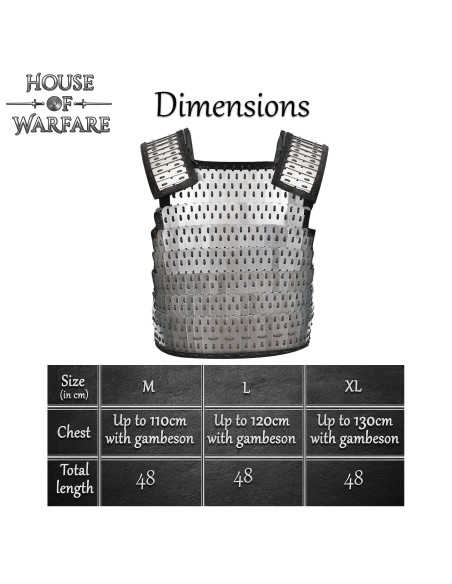 Armadura lamelar Viking Birka em aço