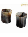 Conjunto de 2 copos de shot Viking, chifre de touro