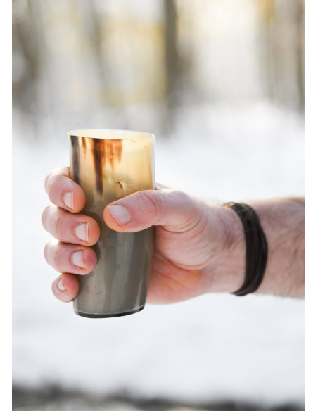 Vidro Viking sem gravuras em chifre...