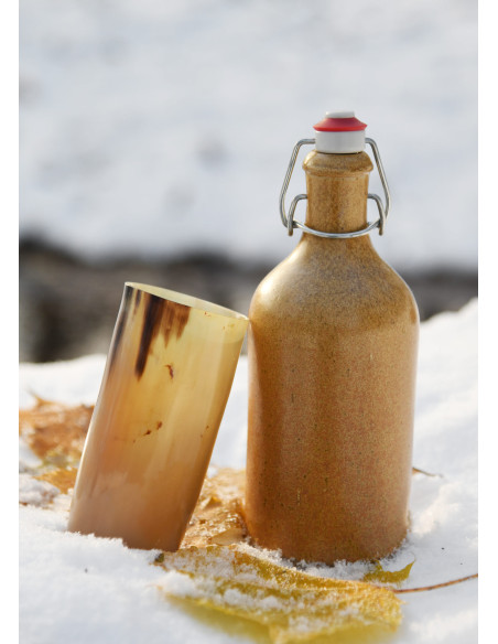 Vidro Viking sem gravuras em chifre...