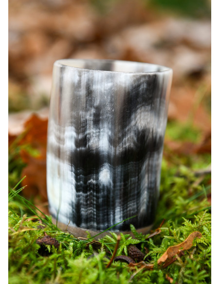 Vidro medieval, copo de chifre...