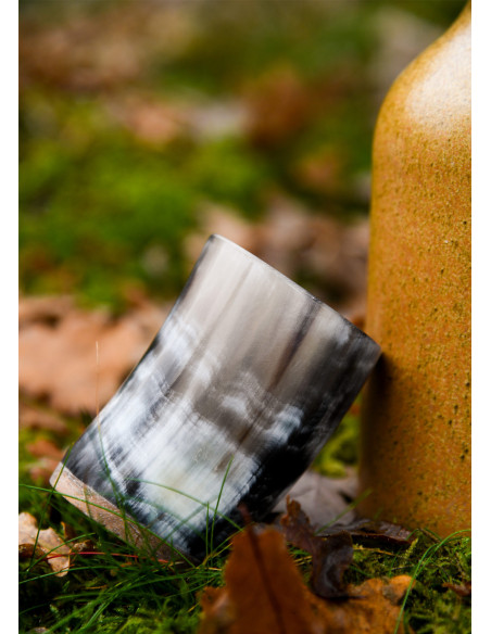 Vidro medieval, copo de chifre...