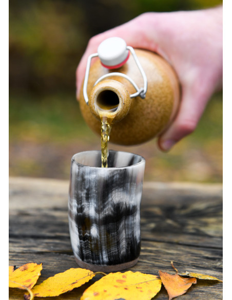 Vidro medieval, copo de chifre...