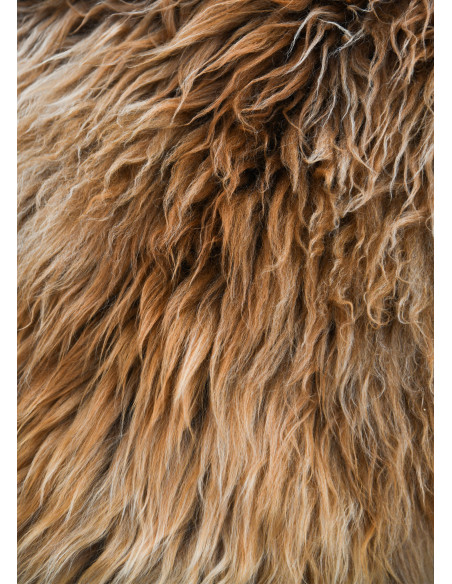 Pele marrom Berserker para guerreiros...