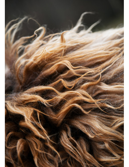 Pele marrom Berserker para guerreiros...