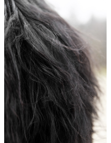 Pele preta de Berserker para...