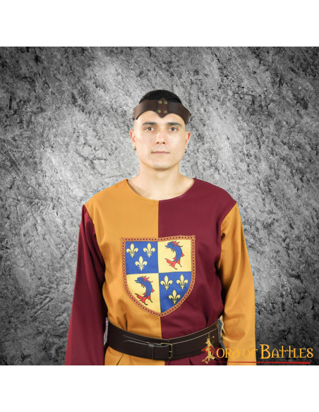 Tabardo de escudo heráldico medieval...