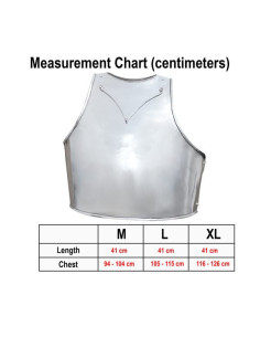 Couraça medieval italiana de Churburg 2