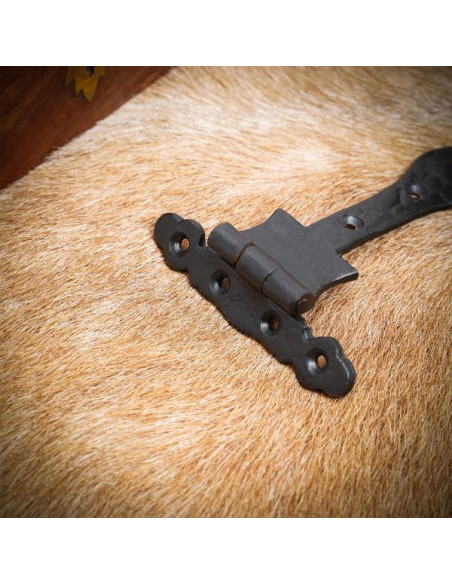 Dobradiça de porta vintage de ferro...