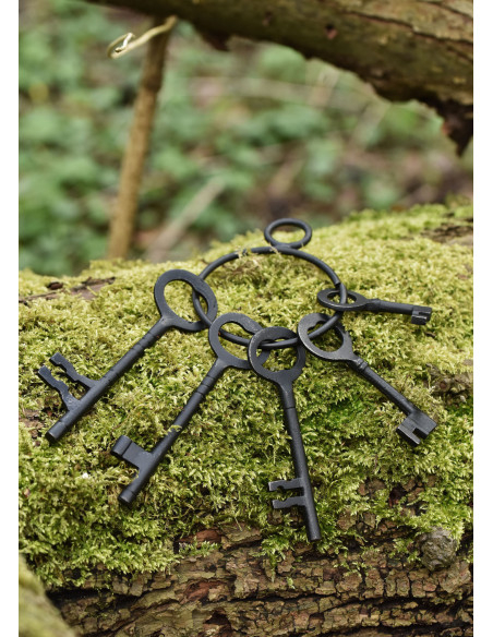 Conjunto de 5 chaves e chaveiro da...