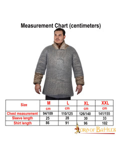 Cota de malha Haubergeon medieval, aço mola 2
