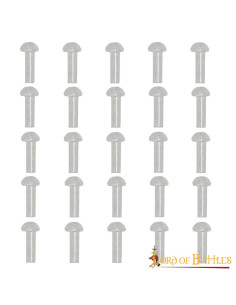 Pacote de 25 rebites de aço com cabeça de cogumelo (16 mm)