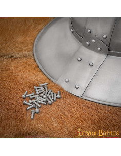 Pacote de 25 rebites de aço com cabeça de cogumelo (16 mm) 2