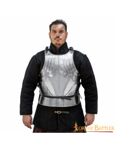 Couraça gótica medieval em aço, acabamento polido. 2