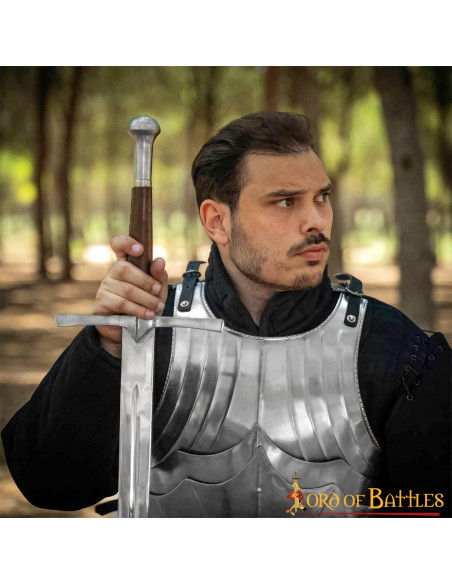 Couraça gótica medieval em aço,...