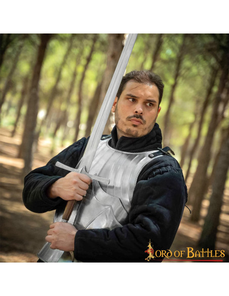 Couraça gótica medieval em aço,...