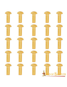 Pacote de 25 rebites de latão com cabeça de cogumelo (8 mm.)