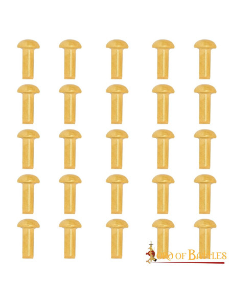 Pacote de 25 rebites de latão com...